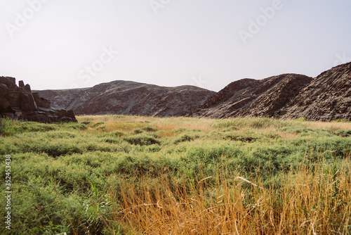 Afrikanische Graslandschaft bei Sonnenuntergang mit Felsen