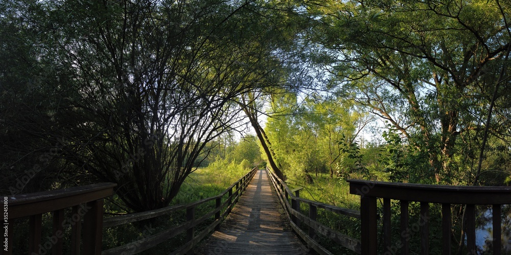 panoramic Environment freshness at village with clouds and natural elements around panoramic Environment freshness at village with clouds and natural elements around