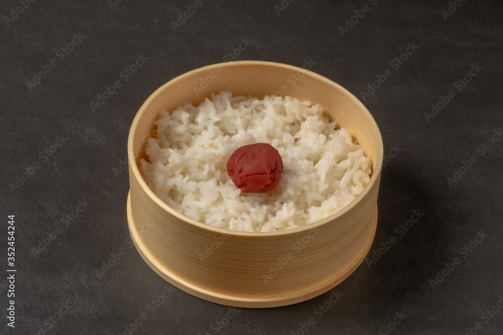 日の丸弁当Umeboshi with rice (Japanese pickles of plum) 日の丸弁当Umeboshi with rice (Japanese pickles of plum)