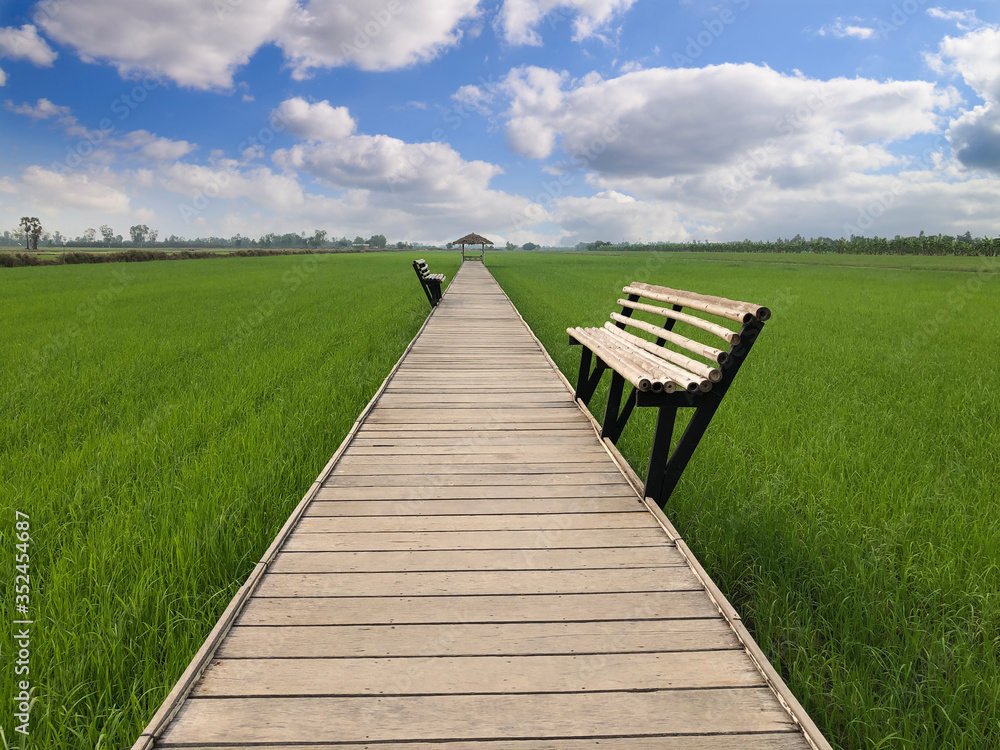 Beautiful landscape view of wooden bridge with wooden bench through rice field