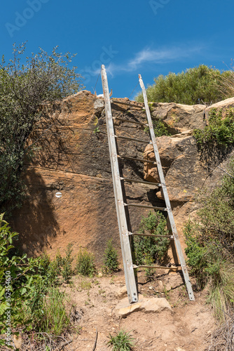 Ladder on the Eland Hiking Trail at Eingedi photo