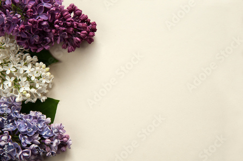 Flower composition. Border of flowers and green leaves of fragrant lilac  Syringa vulgaris  close-up on a pastel yellow background. Free space. Selective focus.