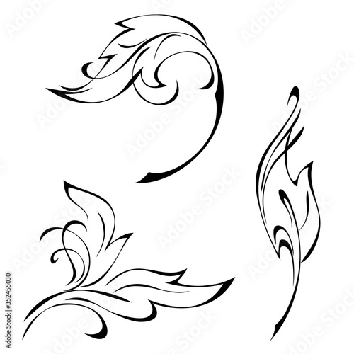 decorative stylized leaf with curls in black lines on a white background. set