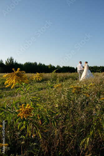 Wallpaper Mural Rear view of happy married couple walking across field. No face Torontodigital.ca