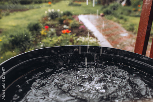 Rain Water Is Streaming Into Barrel In The Garden