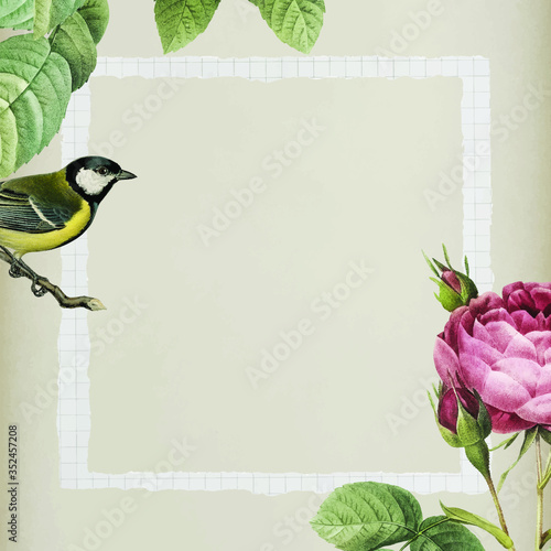 Sparkling rosebush and yellow great tit bird with a white frame on beige background vector