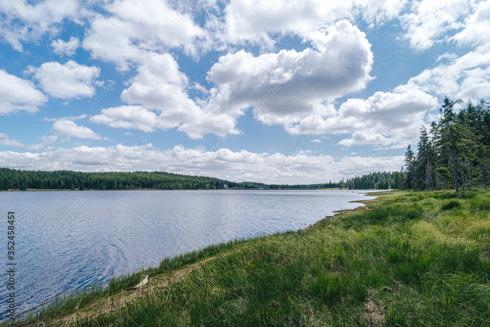 Beautiful scandinavia like landscape of Jizerske hory. Mountain lake in the forest, blue sky with white clouds. Green grass and lake in the outdoors. Cerna Nisa dam, Jizerske mountains.