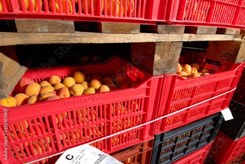 Coopérative Lorifruit, Drome, Entrepot frigorifique. Stockage des fruits photo