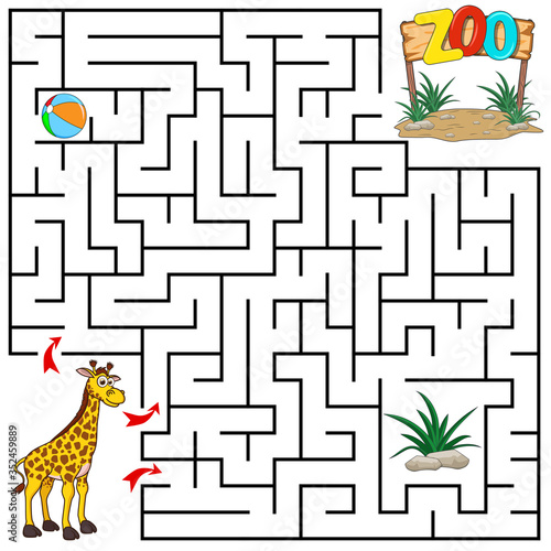 Help Giraffe to find the right path to Zoo, ball, grass. 3 entrances, 3 way. Square Maze Game with Solution. Answer under layer. Labyrinth conundrum for kids. Education worksheet. Cute cartoon style