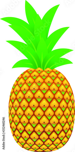 Pineapple - summer fruit - Vector illustration cartoon flat icon isolated