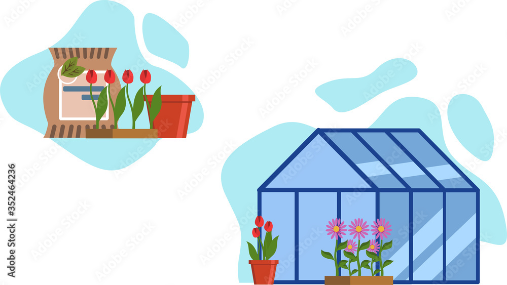 greenhouse with seedlings color background
