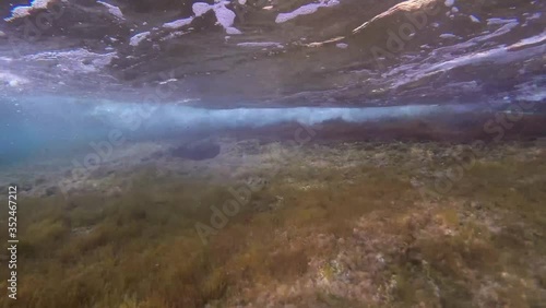 Underwater scene photo made with a proffesional scuba cam at Mediterranean sea with some fish and coral reef in the background photo