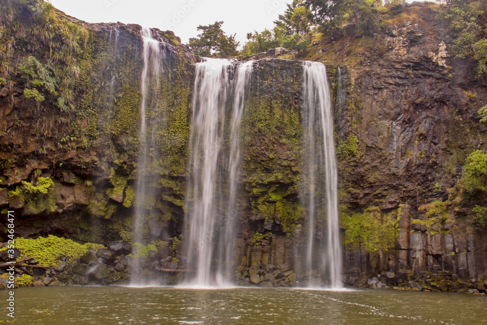 Obraz premium The breathtaking Whanagarei Falls is surrounded by vegetation of the South Island of New Zealand
