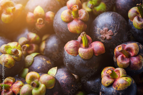 Obraz na plátně Fresh ripe mangosteen fruits, Tropical fruit