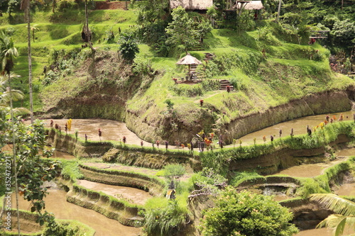 The Tegallalang rice terraces alone offer a scenic outlook