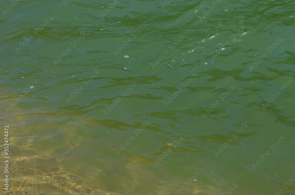 mountain river between sheer cliffs . blue clear water of the river. mountain river between sheer cliffs . blue clear water of the river.