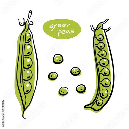 Green peas in pods. Colorful sketch collection of vegetables isolated on white background. Doodle hand drawn vegetable icons. Vector illustration