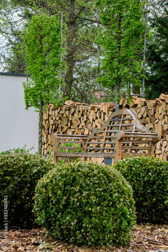 Bukszpan formowany na kulę w eleganckim nowoczesnym ogrodzie z drewnianą ławeczką i ogrodzeniem z drewna