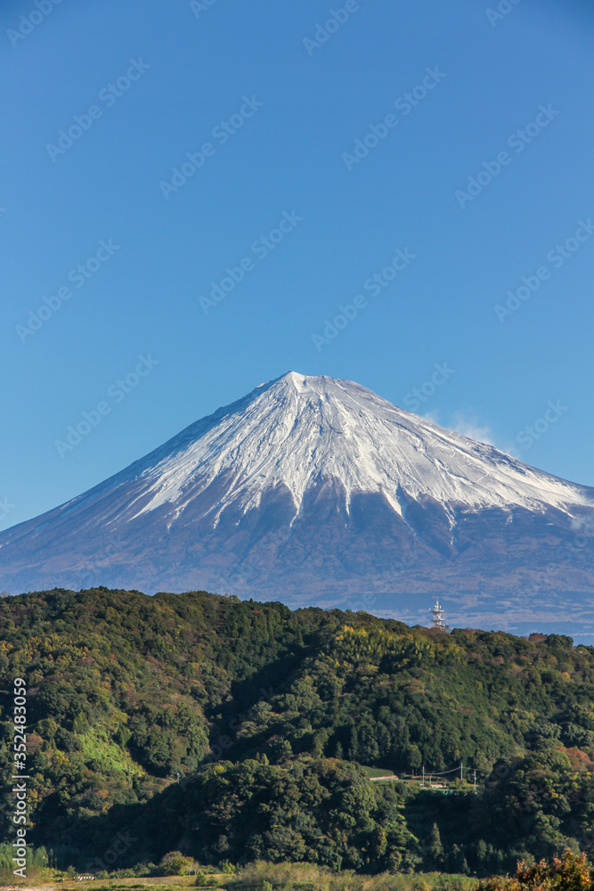 富士川からの富士山 富士川からの富士山