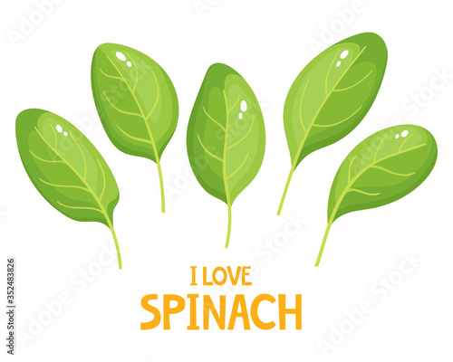 Cartoon bright spinach leaves isolated on white