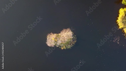 Aerial view of the Island on Teterev River autumn with trees on which yellow foliage photo