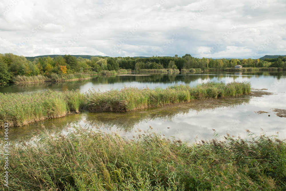 Obraz premium Wetland Haff Reimich, nature reserve in Luxembourg