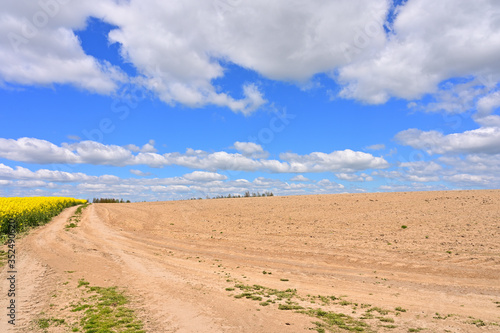 Photo in clear spring weather of the sky, the sun, blue clouds over a rapeseed field with a road in the sun