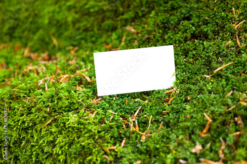 White empty business card mockup on fresh green forest moss mossy rock ecology enviroment nature hunt background concept with copy space