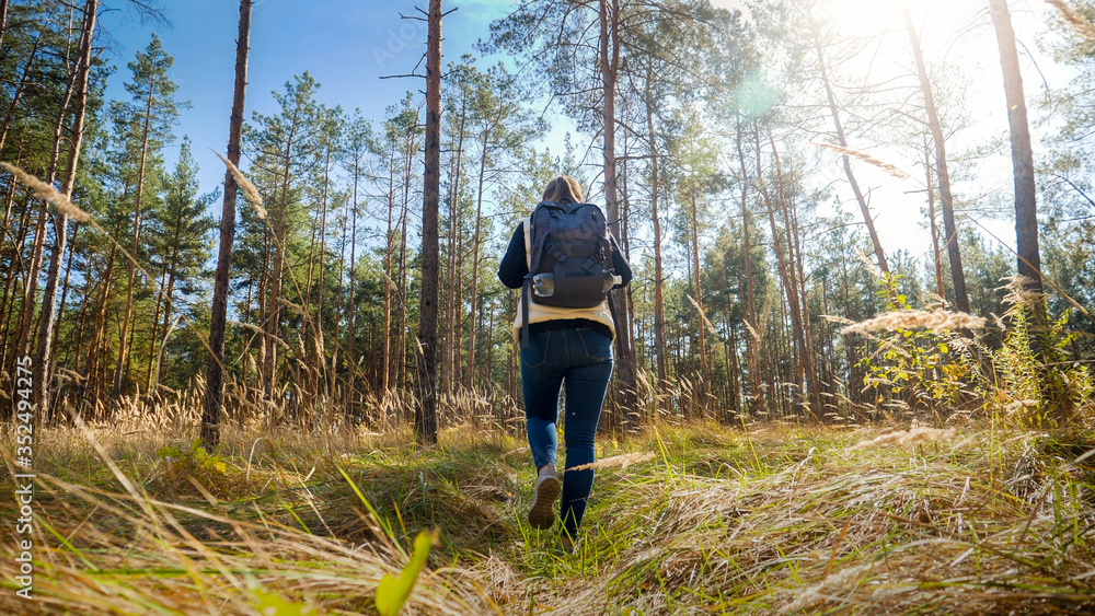 Rear view photo of young woman with backpack walking through high grass in forest Rear view photo of young woman with backpack walking through high grass in forest