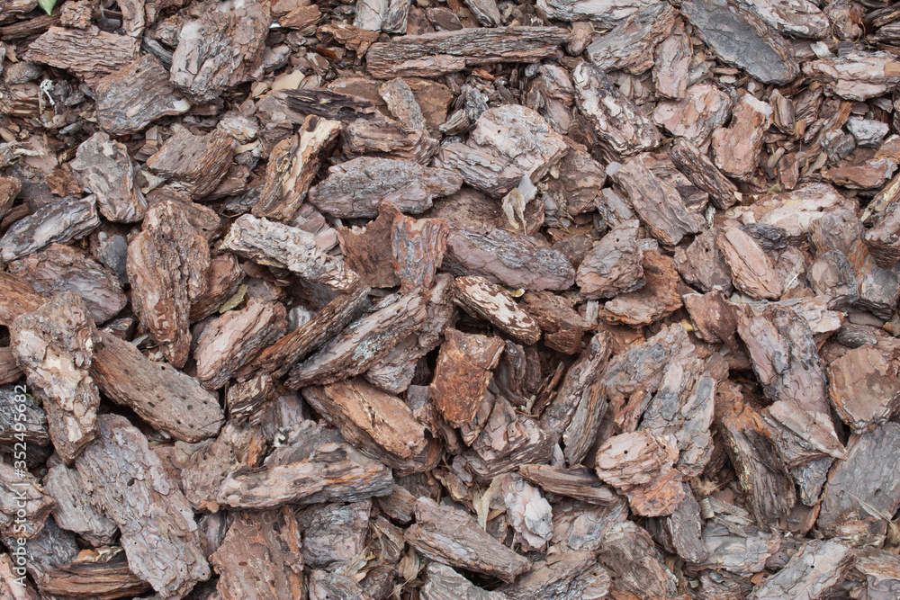 Background from wooden chips Background from wooden chips