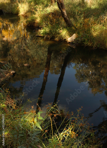 Gorge Road Creek water reflections