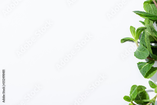 top view of green peppermint on white with copy space