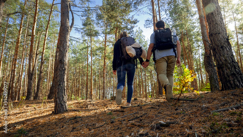 Rear view photo of couple of tourists holding hands and hiking in pine tree forest