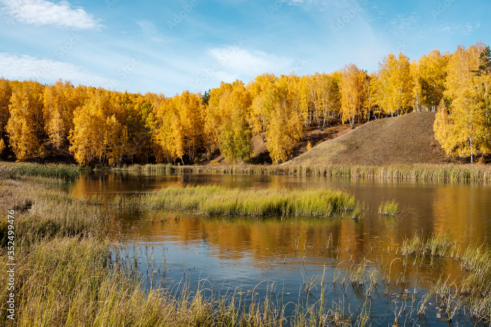 Obraz premium reflected in the pond autumn trees sky and reeds