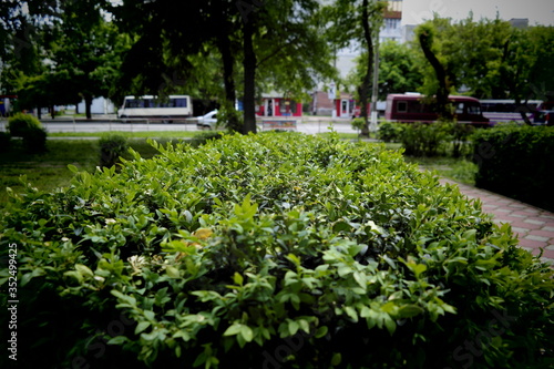 park in spring © Василь Федорів