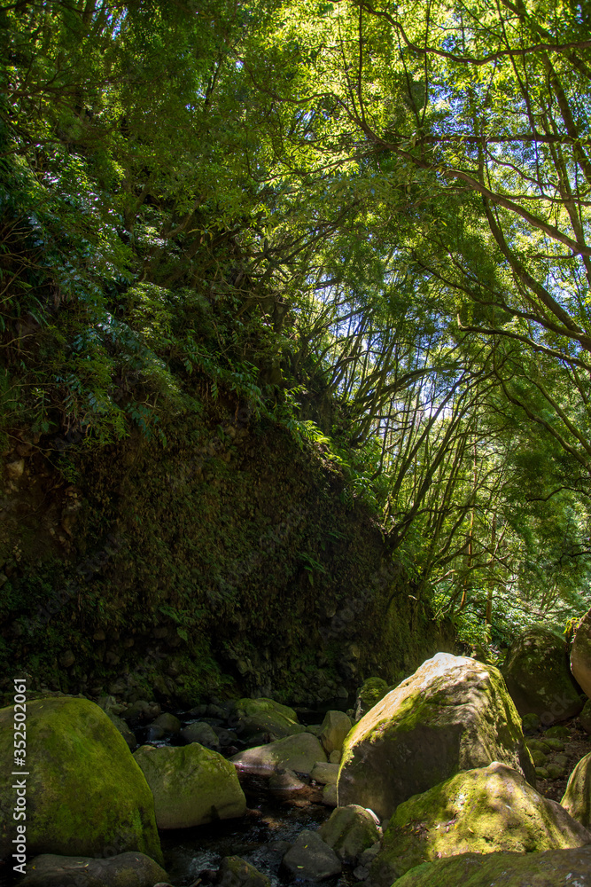 walk and discover the prego salto waterfall on the island of sao miguel, azores