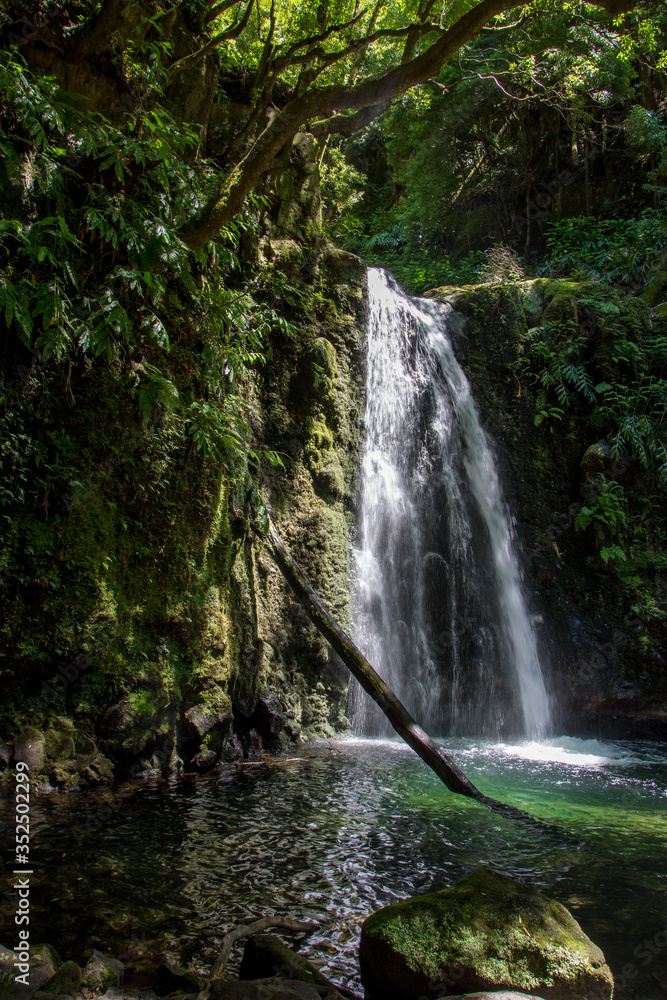 walk and discover the prego salto waterfall on the island of sao miguel, azores walk and discover the prego salto waterfall on the island of sao miguel, azores