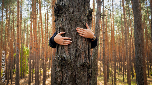 Closeup image of female activist hugging and embracing pine tree in forest. Concept of love, ecology protection and harmony with nature