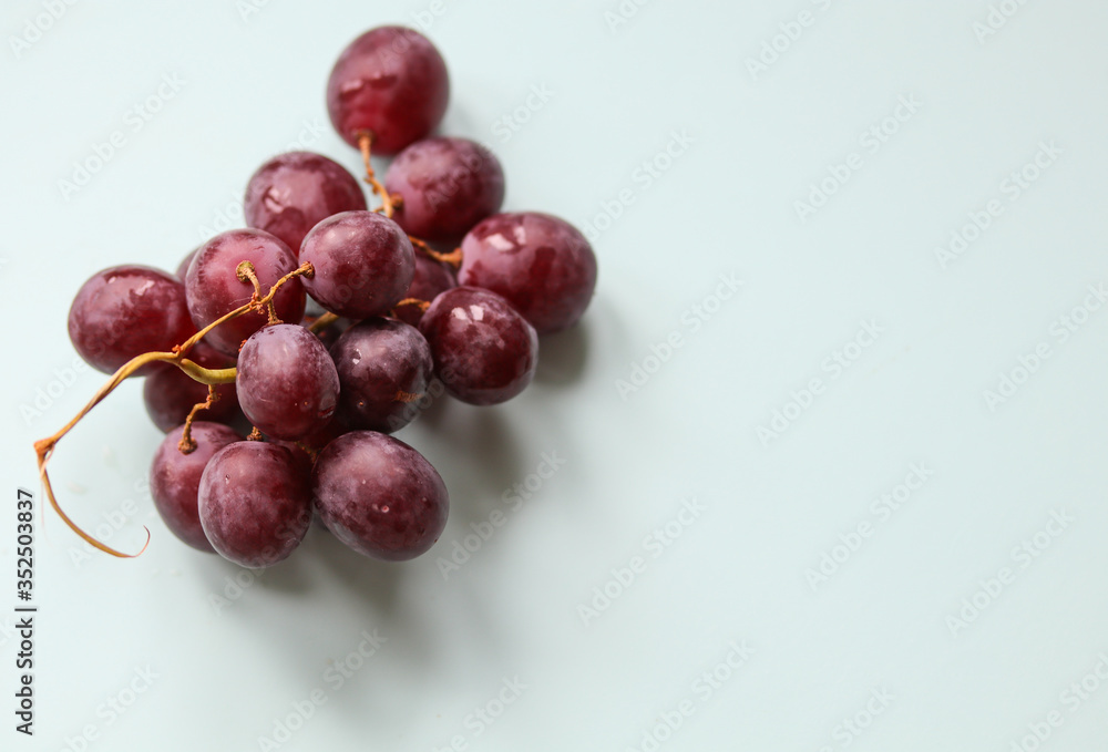 bunch of ripe grapes on a light background bunch of ripe grapes on a light background