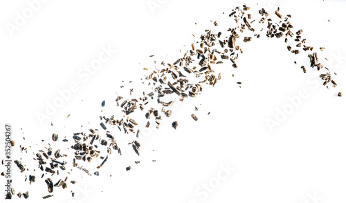 Herbs and spices flying isolated on white background. Exotic spices