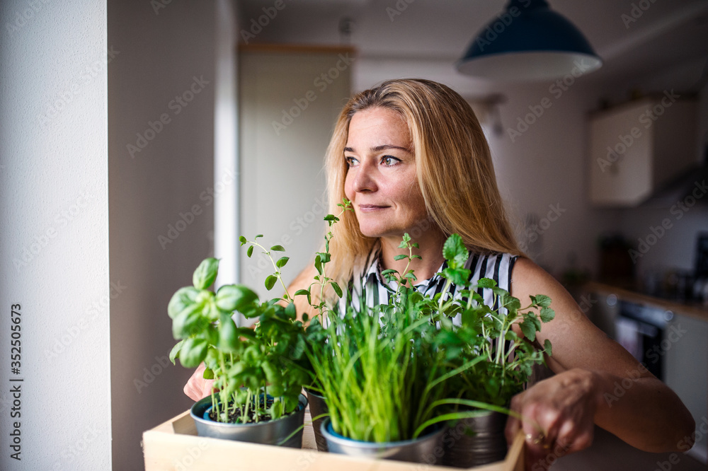 Portrait of woman indoors at home, carrying box with herbs.