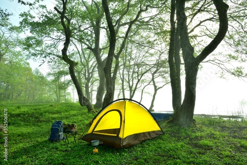 新緑・湖畔のキャンプ