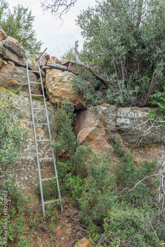 Ladder on the Zebra Hiking Trail at Eingedi photo