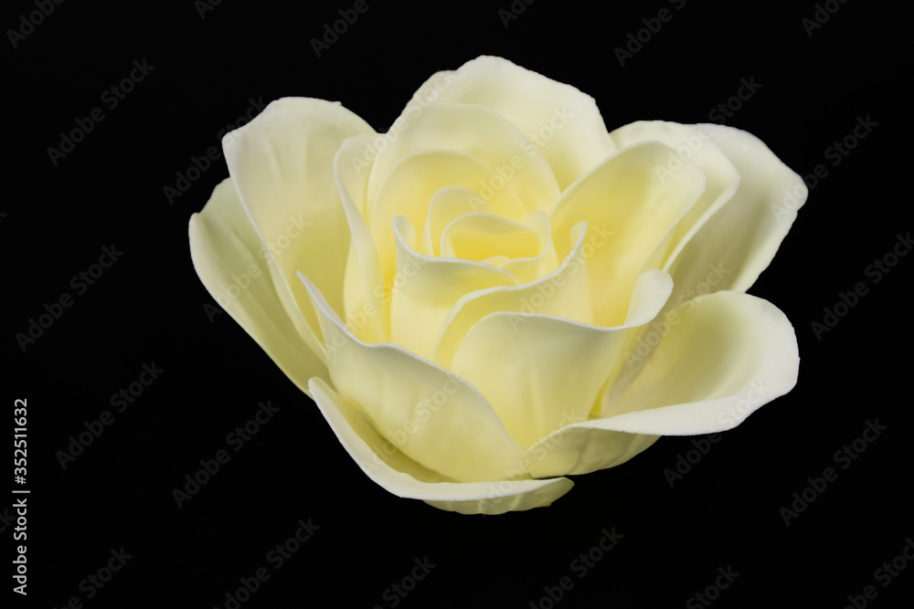 beige head of rose flower lies on a white background, soap petals, soap. beige head of rose flower lies on a white background, soap petals, soap.