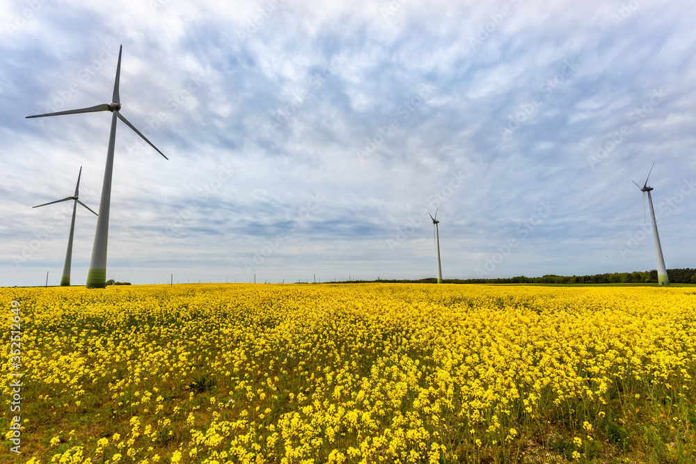 Wind turbines in the yellow rapeseed fields. Ecology environmental background.Green renewable energy concept. Wind turbines in the yellow rapeseed fields. Ecology environmental background.Green renewable energy concept.