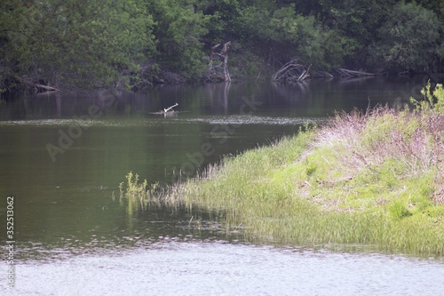 Seym River, Ukraine photo