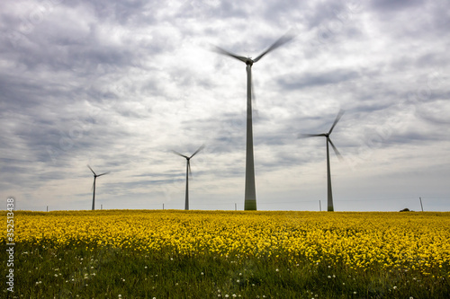 Wind turbines in the yellow rapeseed fields. Ecology environmental background.Green renewable energy concept. © Gitanas