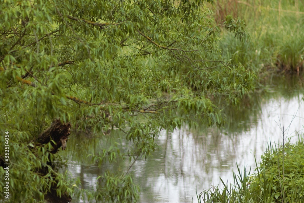 Fototapeta premium Seym River, Ukraine