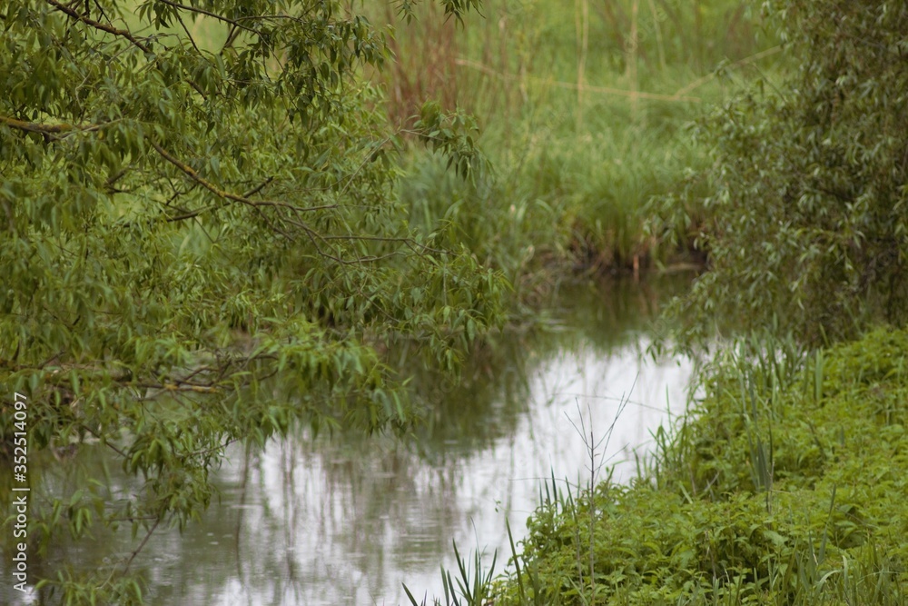Obraz premium Seym River, Ukraine