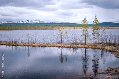 Russian northern landscape. Kola Peninsula  the Arctic. Murmansk region
